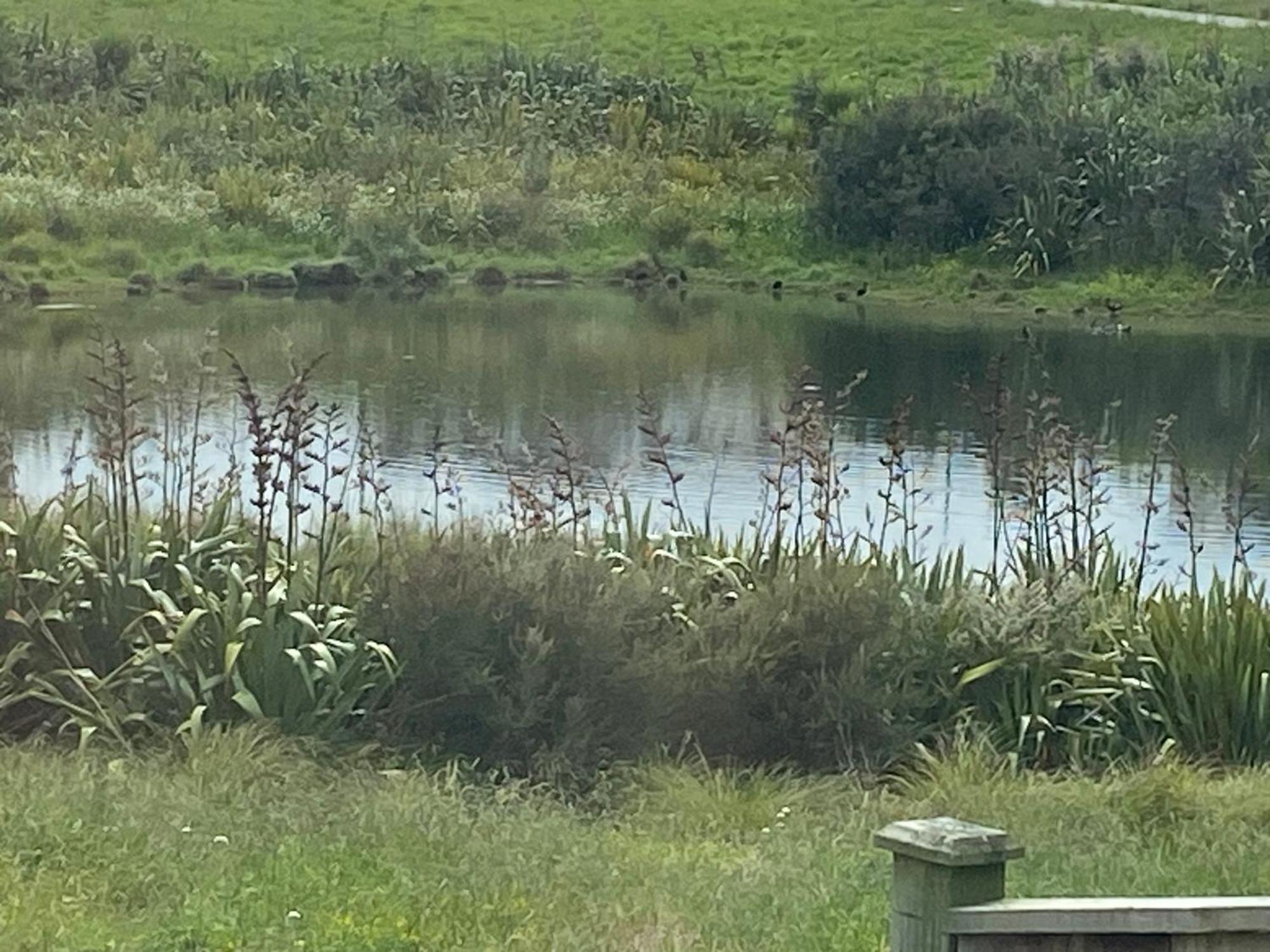 Auckland Gq Flat Bush Holiday Home מראה חיצוני תמונה
